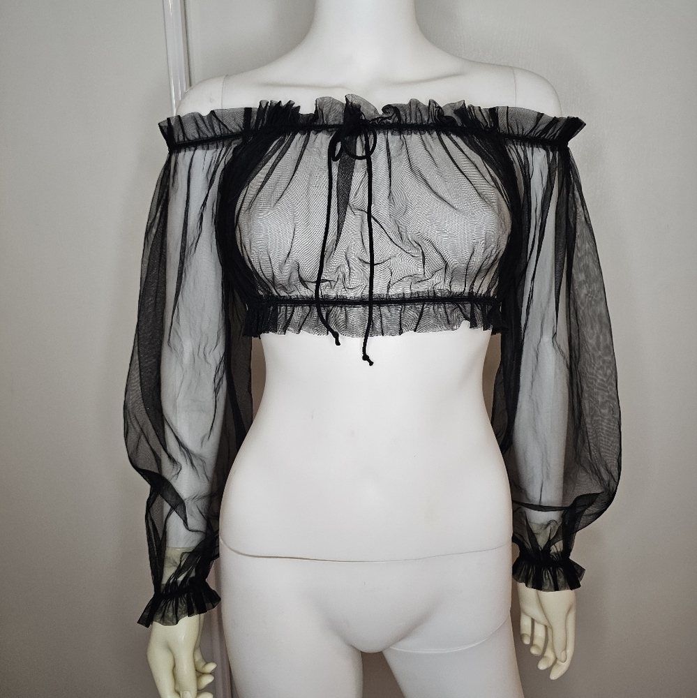 Celebrity Fashion Black Sheer Top